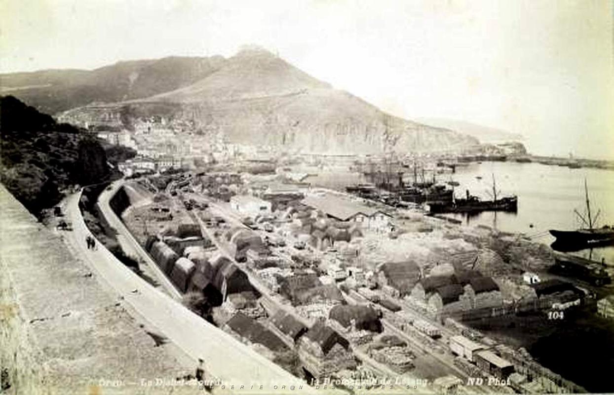 Oran-Les quais et l'alfa 13.jpg